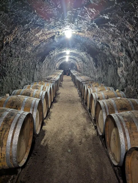 Hollókői Mihály Family Winery