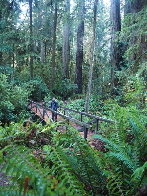 Simpson-Reed Trailhead