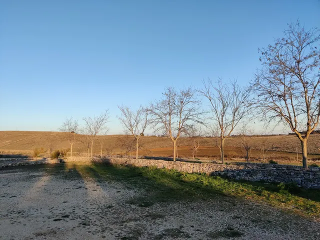 Grotta Di Lamalunga - Uomo Di Altamura