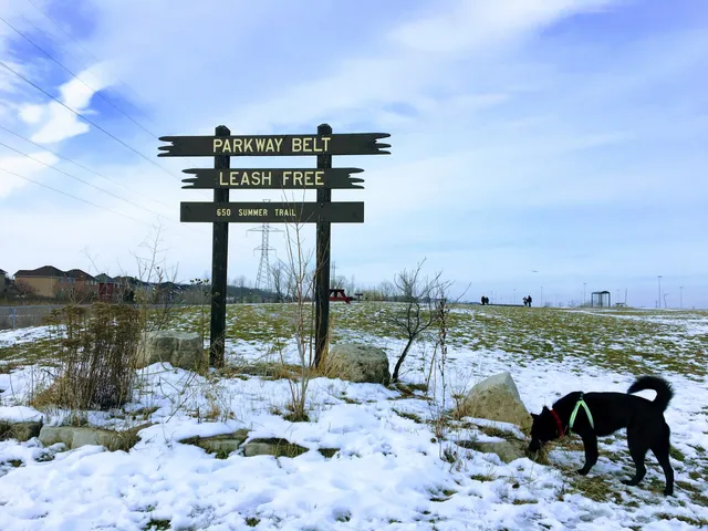 Parkway Belt Dog Park