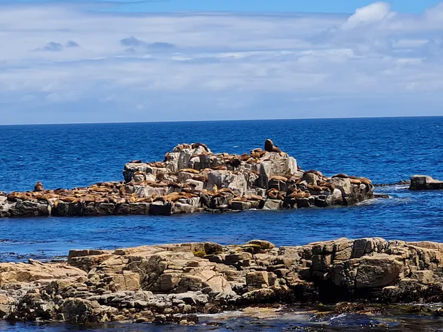 Reserva Costera Valdiviana