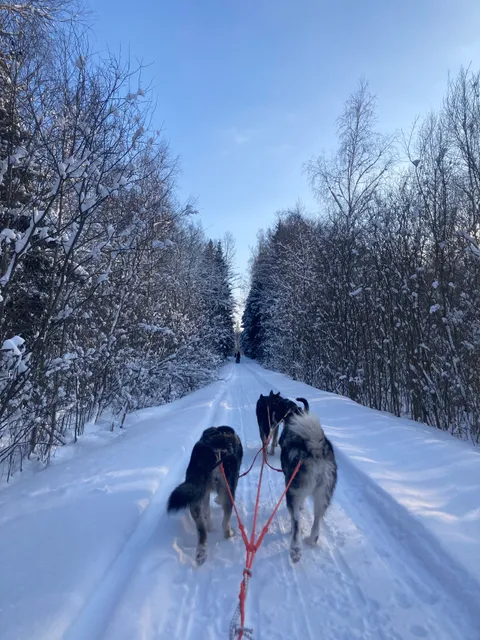 Kelgukoerte Treeningkeskus