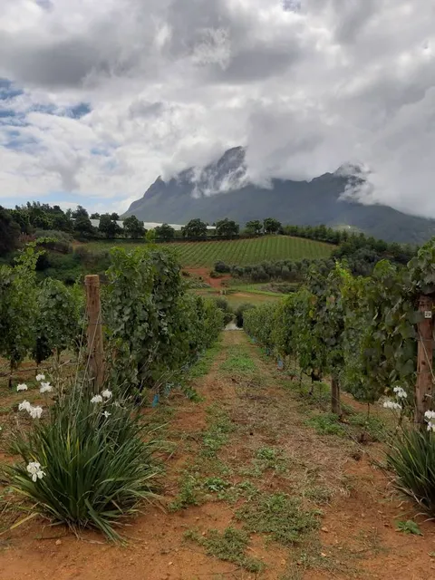 Bartinney Tasting Shed