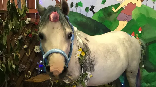 Ash End House Children's Farm