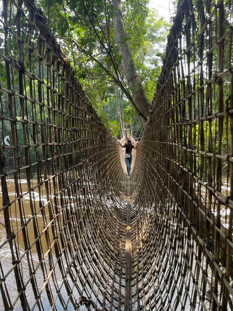 Liana Bridge of Poubara