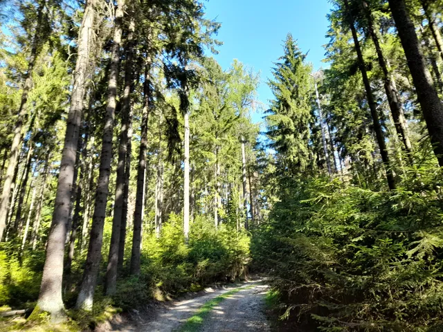 photo-2