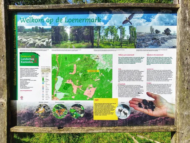 Schaapskooi Loenermark parkeerplaats