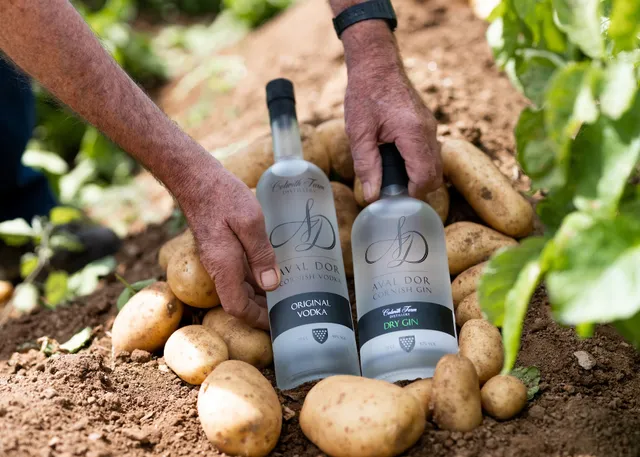 Colwith Farm Distillery & Cafe (Cafe open 9am to 4pm Tuesday to Saturday)