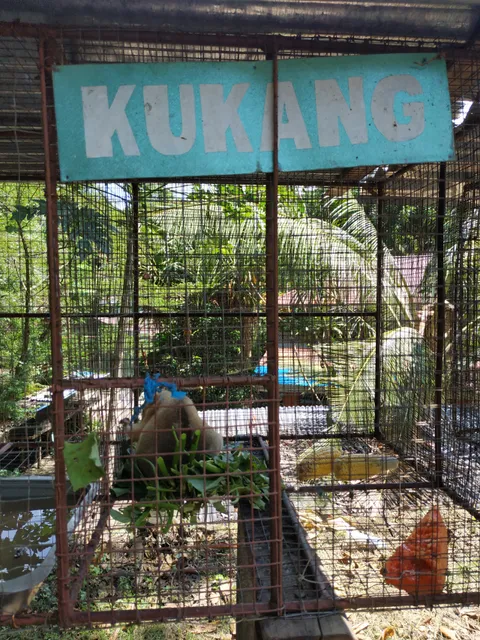 Taman Margasatwa Tandurusa