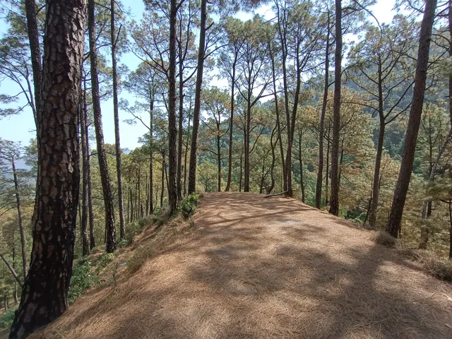 Shilli Wild Life Sanctuary