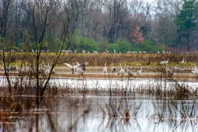 Wheeler National Wildlife Refuge Visitor Center