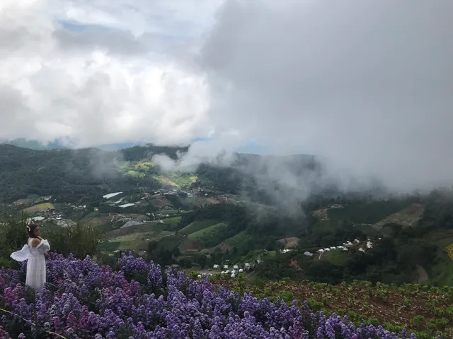 Ying Yong Flower Garden