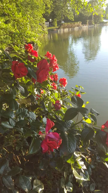 Étangs des Carreaux