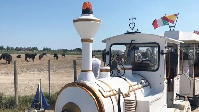 Le Petit train camarguais