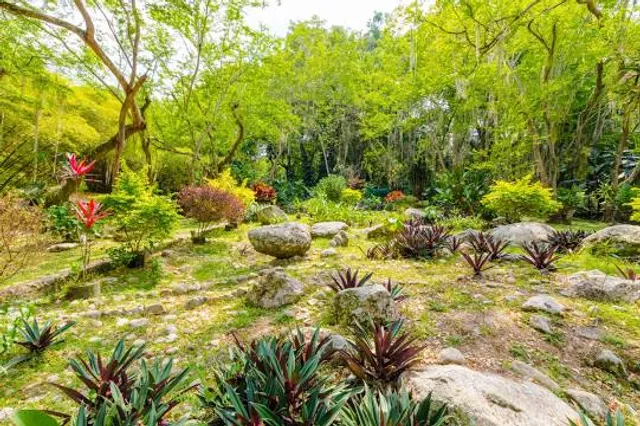 Jardín Botánico Eloy Valenzuela