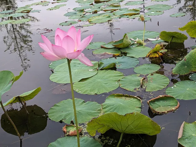 Inter Minami Central Park