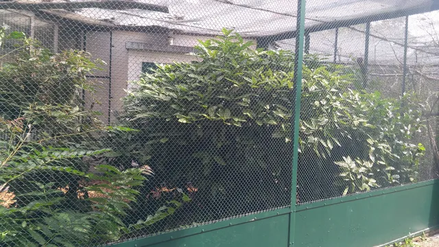 Birdhouse Mainz in the city park