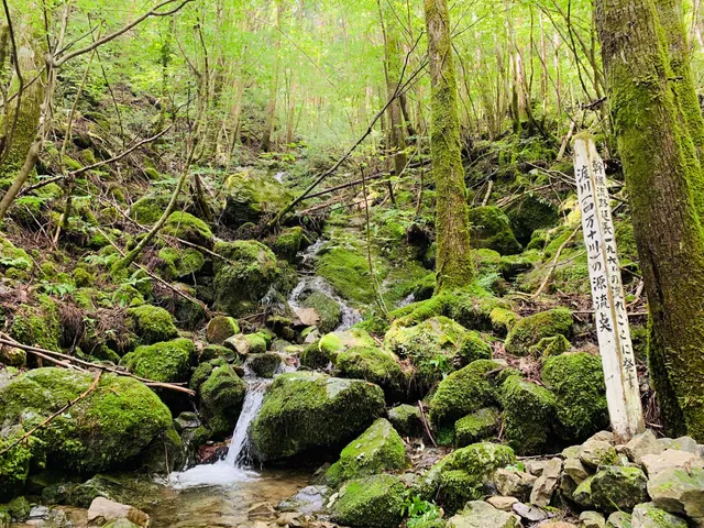 Head Point of Shimanto River