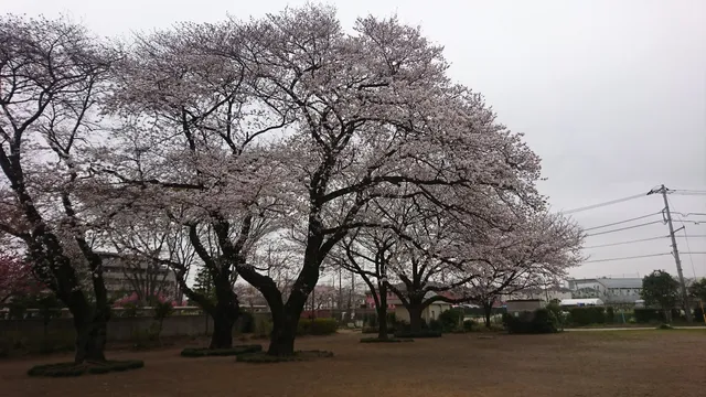 Yagawakami Park