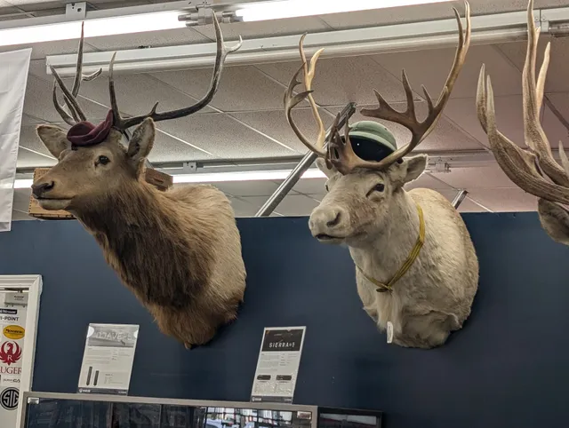 Willow Oaks Shopping Center