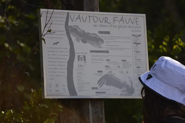 Belvédère des vautours