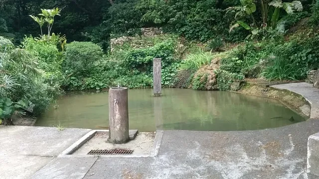 Manantial de Karimata