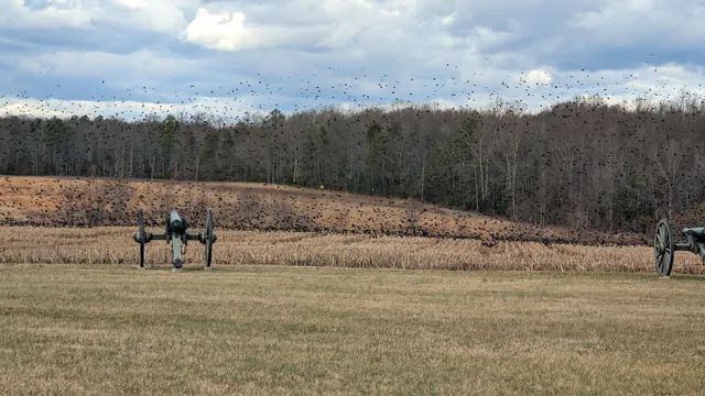 Malvern Hill Battlefield