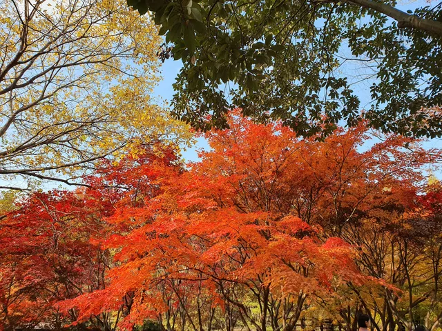 Gyeongsangnamdo Arboretum