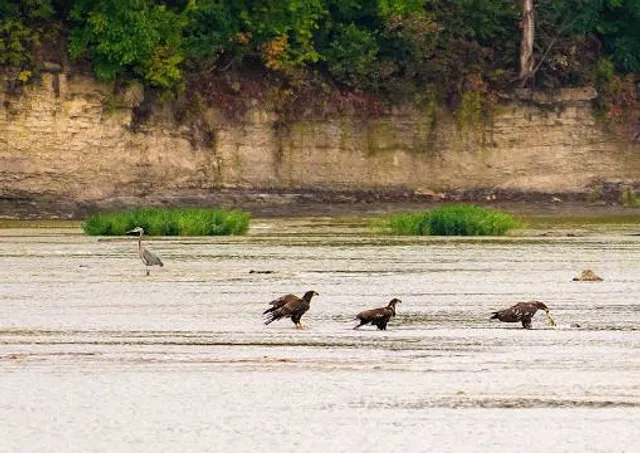 Vermilion River Reservation: Mill Hollow