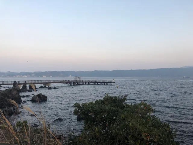 Sakurajima Fishing Park
