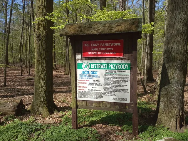 Rezerwat przyrody Boże Oko