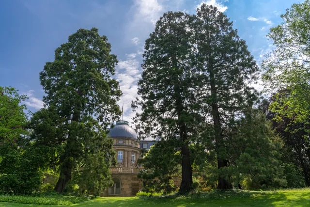 Park der Villa Reitzenstein Stuttgart