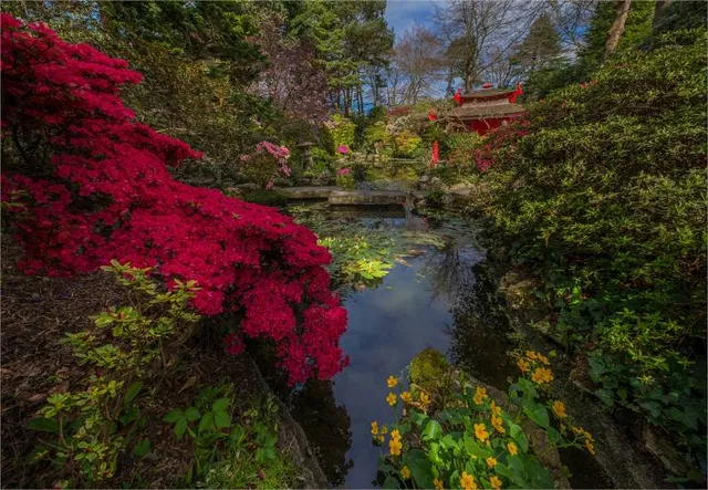 Compton Gardens & Arboretum