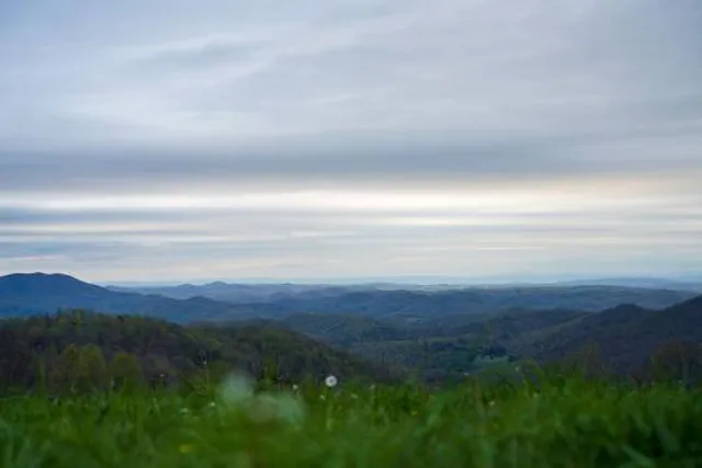 Bottom Creek Gorge Preserve