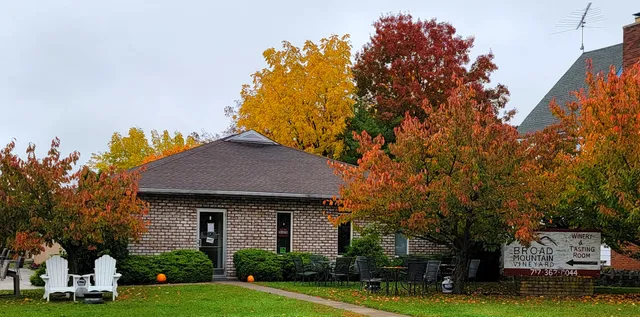 Broad Mountain Vineyard