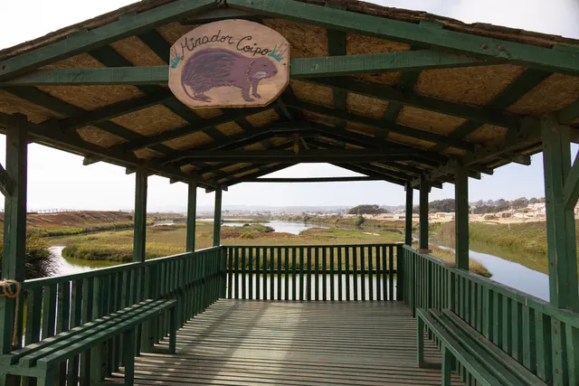 Humedal de Cartagena