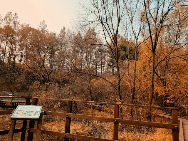 Gildong Ecological Park