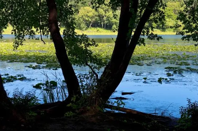 Museu do Eucalipto - Horto Florestal Edmundo Navarro de Andrade