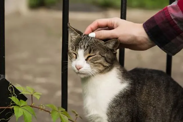 Bale Panyawangan Diorama Nusantara