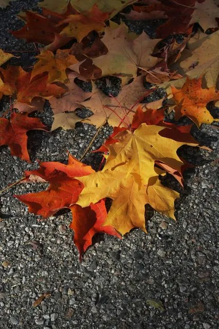 신정산 계남근린공원