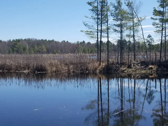 Hyla Park Nature Preserve