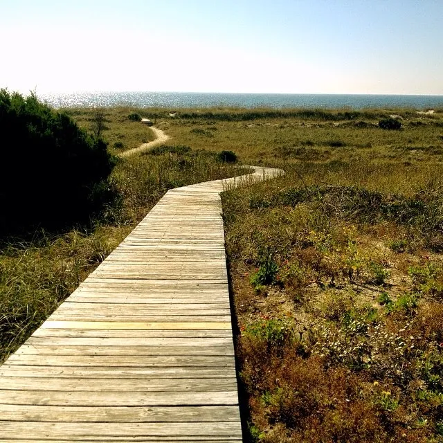 Bald Head Island Conservancy