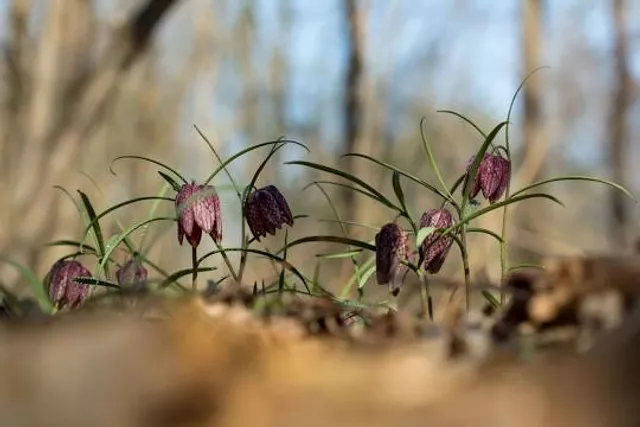 Museu da Imigração do Estado de São Paulo