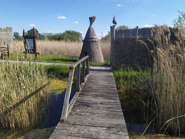 Földtani bemutatóhely - varangykő