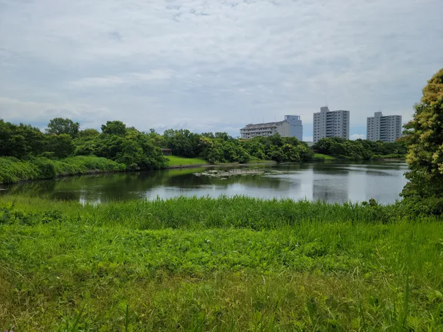 Nagahama Park