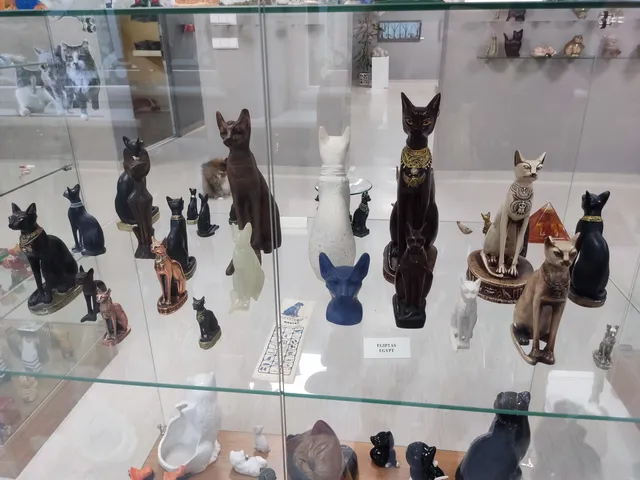 Cat Museum