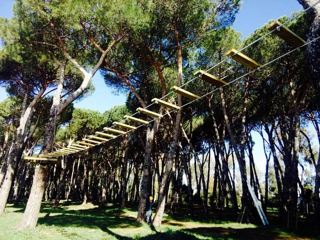 Parco Avventura Fregene