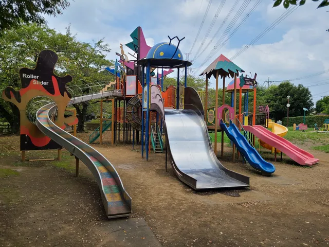 photo-1