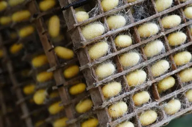 La Magnanerie, site troglodytique