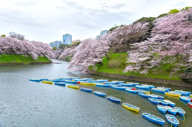 Chidorigafuchi Park
